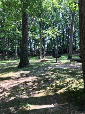 Shady picnic area