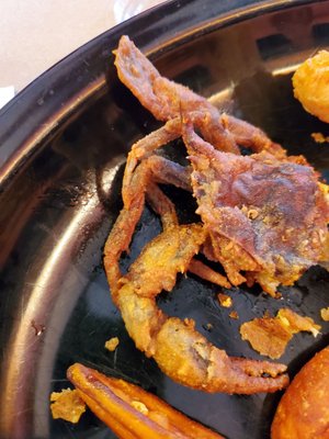 Soft shell crab,  fried.