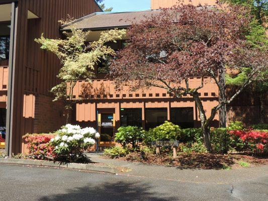 Exterior of Gig Harbor Endodontics