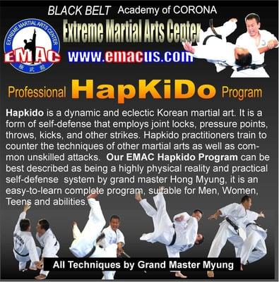 EMAC Professional Hapkido program  has a huge following as a practical and extremely effective method of self-defense.