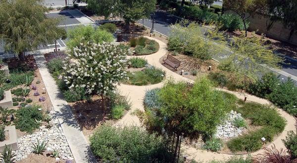 A view above the water conservation demonstration garden. The garden is open and no-cost to visit all week.