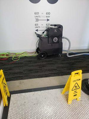 carpet cleaning services