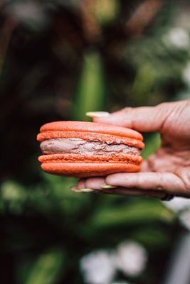 Ice cream macaroon sandwich