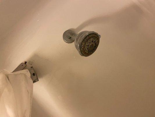 Nasty shower head and broken curtain rod