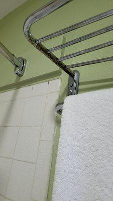 Towel rack