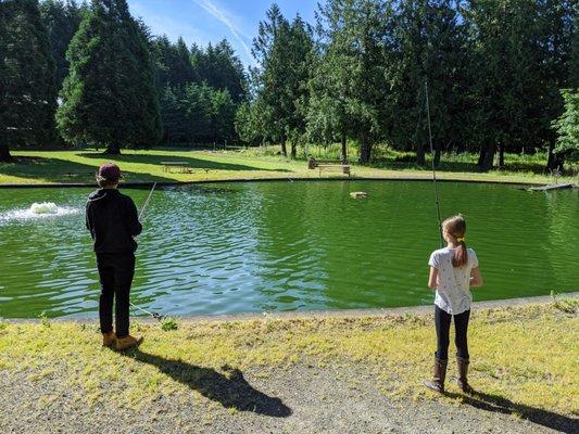 One of three ponds. This was the trout pond.