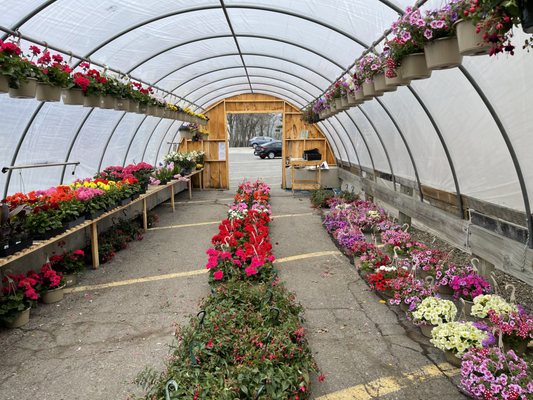 Seasonal Flowers