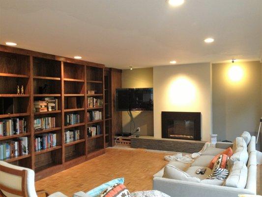 SCR Fireplace/Bookshelf