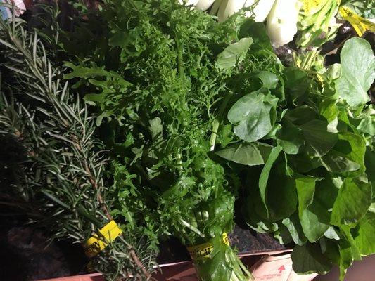 Rosemary, mustard, watercress