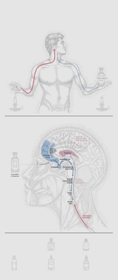 we fix the way your brain heals you. Blessings  -dan yates DC