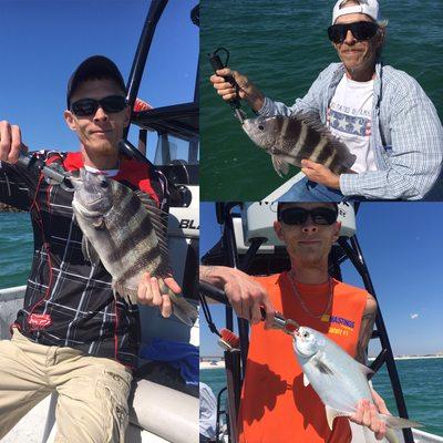 Sheepshead and Pompano are still biting. Let go Fishing!