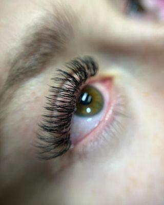 Eyelashes extensions