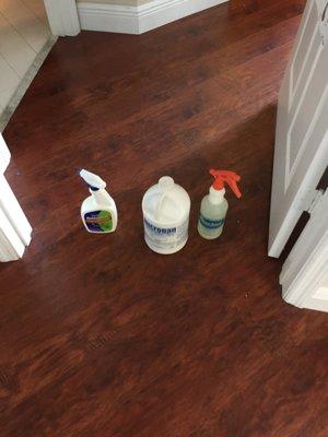 Using the right products to remove mold from your home is key!