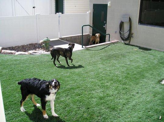 artificial grass pets pinecrest  fl