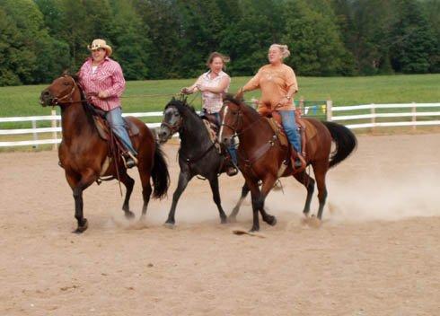 RNR Ranch and Tack