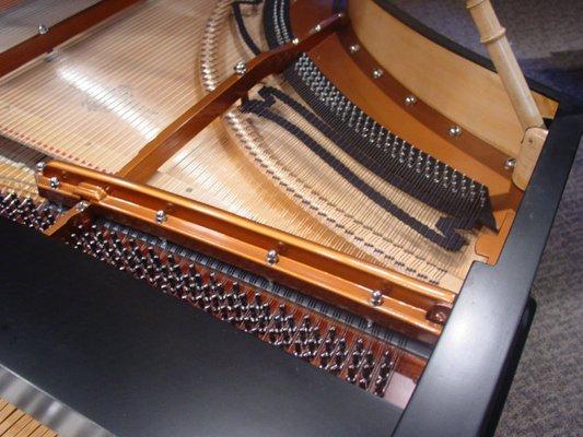 1895 Bösendorfer grand, restored