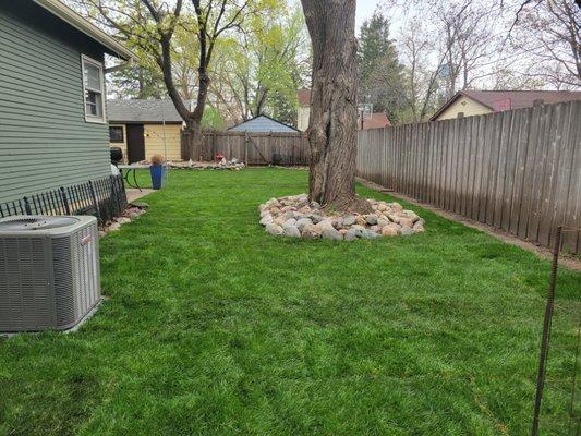 Sod Installation