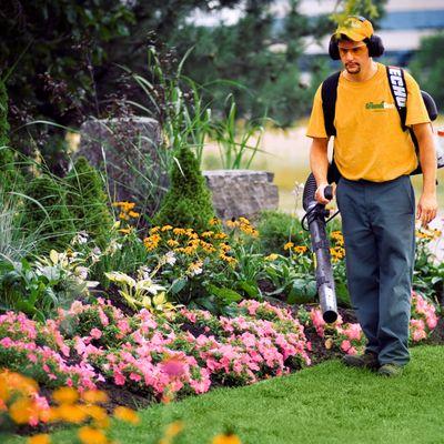 The Grounds Guys of Madison East