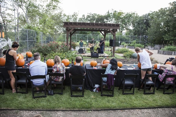 Grove Pumpkin Carving Party in Oct 2014 with a Live Band!