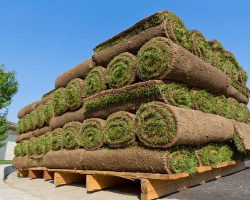 Becker Sod Farms