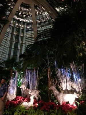 The Atrium in December 2016 an evening near Christmas.