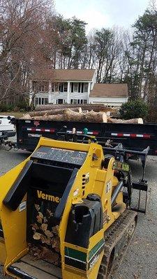 Loading wood from tree removal