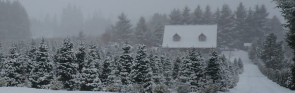 Kraxberger Farms in the winter.