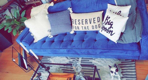 Reserved for the Dog