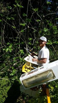 Dorian (Owner) getting his hands dirty on the site as well!