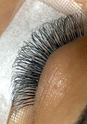 Classic Lash application