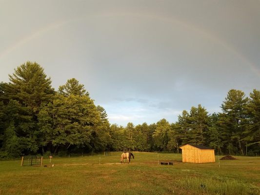 The Care Farm