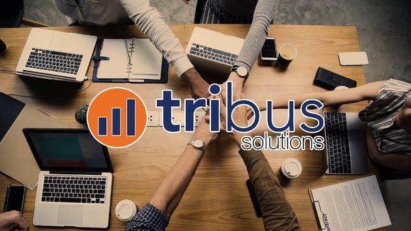 Tribus Solutions logo