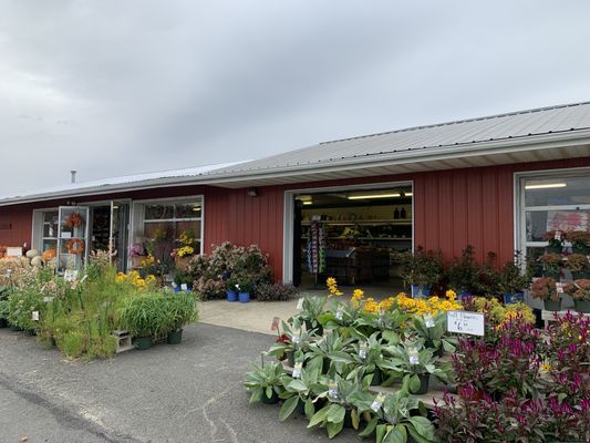 Veggies, flowers, produce, prepared foods