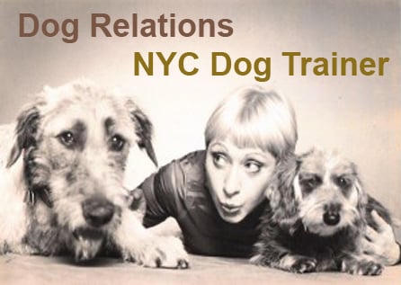 Dog Relations NY