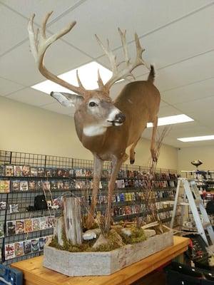 The Gun Shop and Trading Post