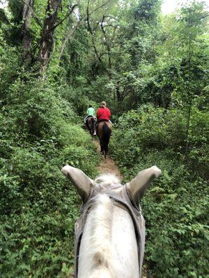 Heavenly Horse Stables