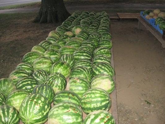 water melons