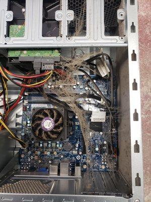 Dust your PC so it could last a long time!  : ) Computer Teks clean it for $15.  Free with Repair