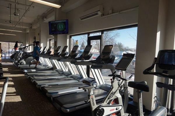 Variety of Cardio Machines