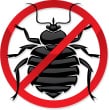 No Bed Bugs