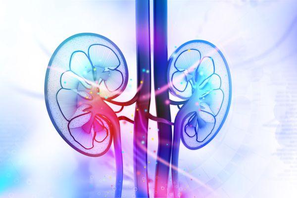 Comprehensive kidney disease management