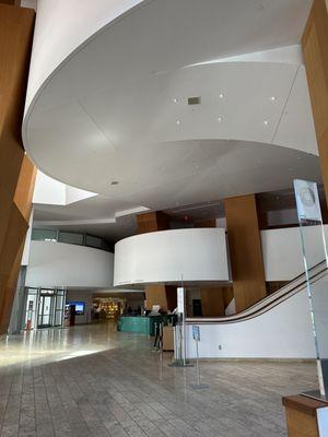 Inside the Walt Disney concert hall