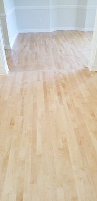 Maple Solid Hardwood Floor