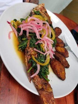 Ecoviche style Red Snapper