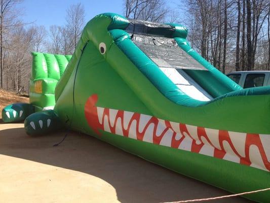 Alligator water slide