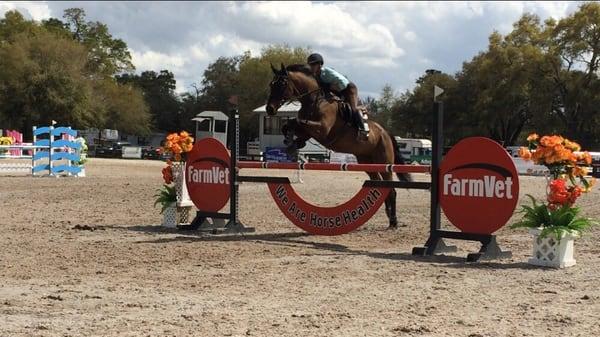 Miami Equestrian's Summer Camp