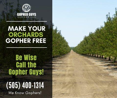 Keep your Orchards Gopher Free