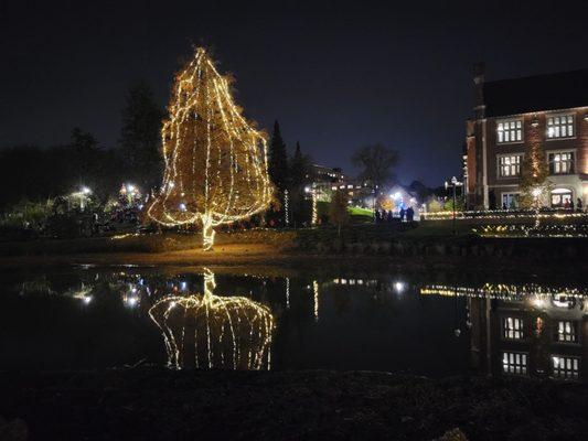 Holiday lighting