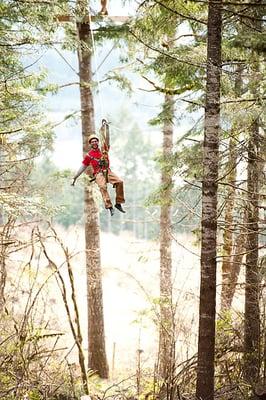 Tree to Tree Adventure Park