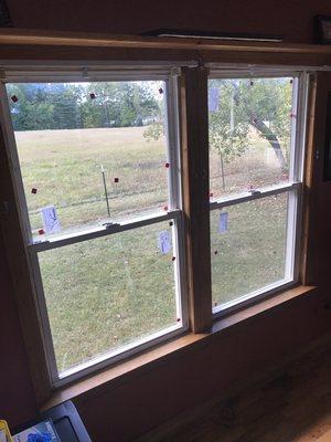 Insulated windows frames or just glass replacement